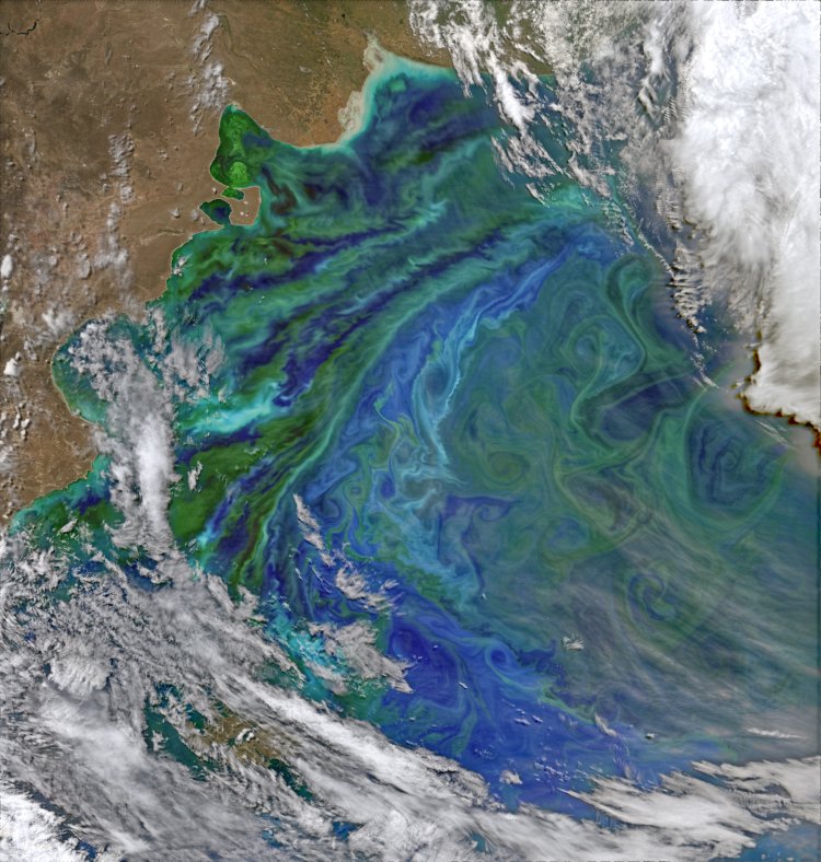 Patagonian Plankton Swirls